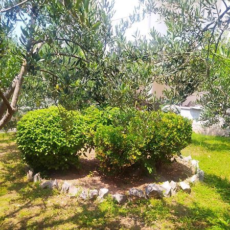 Apartmani Trubi 2 فوديس المظهر الخارجي الصورة